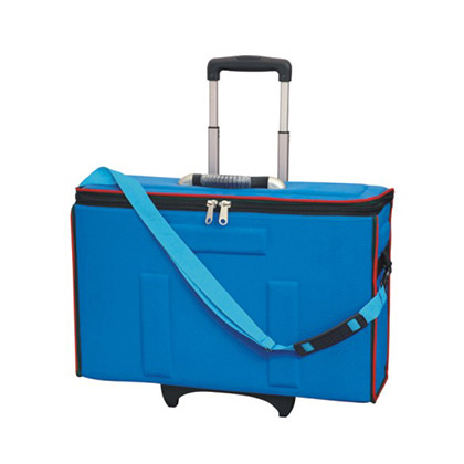 Glasses Trolley bag